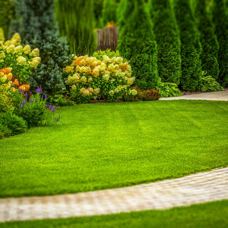 Lush Garden Landscape