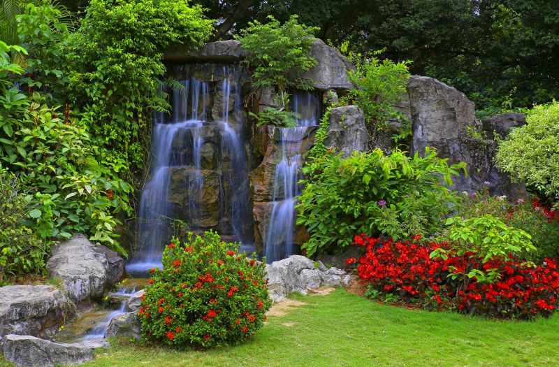 Water Feature with Surrounding Plants