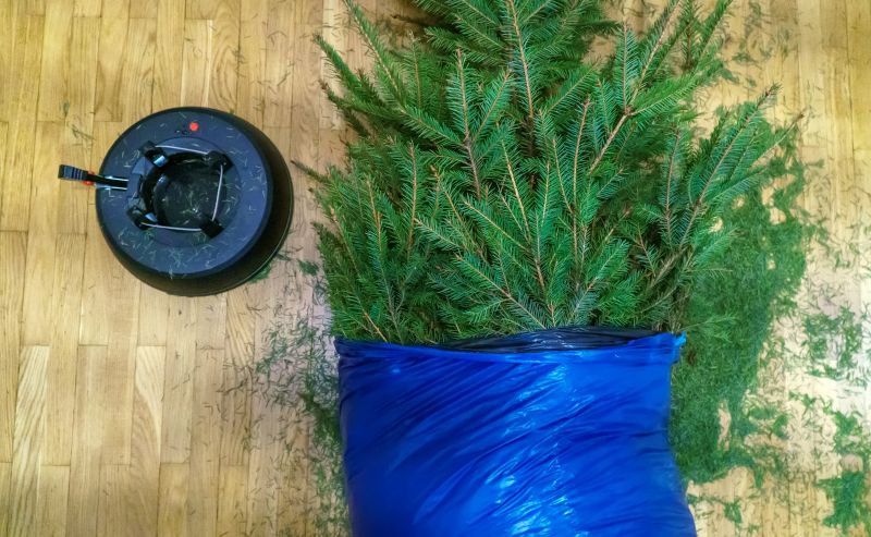 Pine Needles Delivery