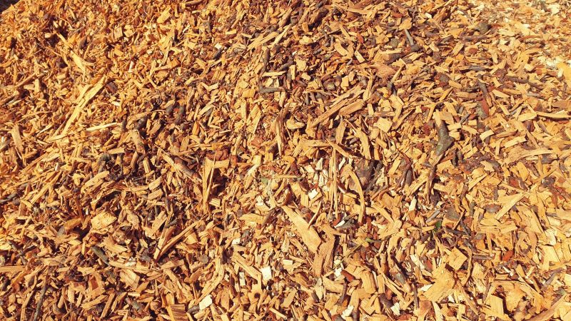 Wood Chips Spreading