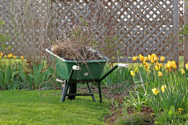 Flower Bed Cleanup Service in Burnsville