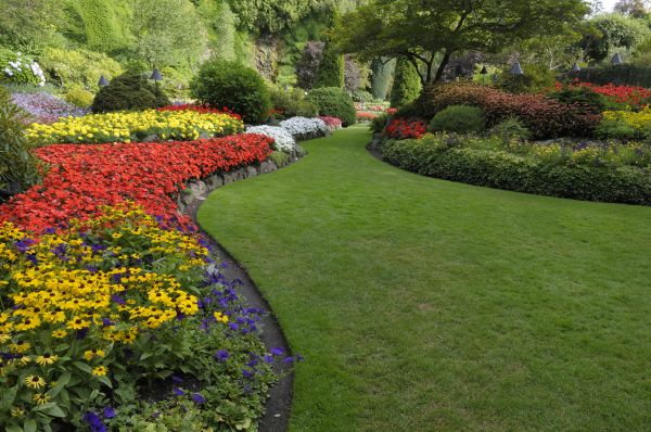 Landscaping Maintenance in Burnsville