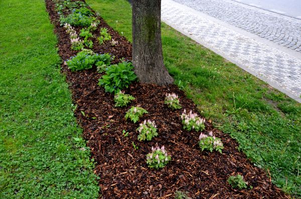 Mulch Replacement Service in Burnsville