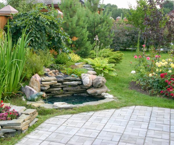 Yard Renovation in Burnsville