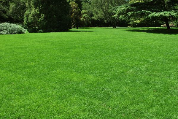 Lawn Landscaping in Burnsville