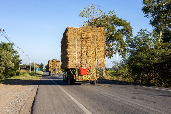 Pine Straw Delivery in Burnsville
