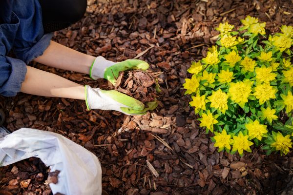 Garden Mulching in Burnsville