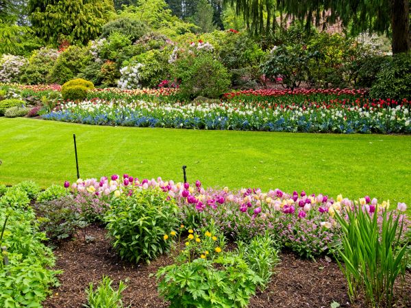 Residential Landscape Design in Burnsville