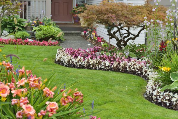 Perennial Landscaping in Burnsville