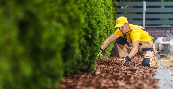 Cypress Mulch Installation in Burnsville