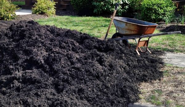 Black Mulch Installation in Burnsville