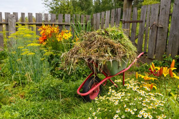 Garden Cleanup Service in Burnsville