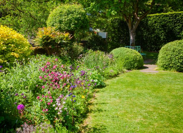 Yard Landscaping Service in Burnsville