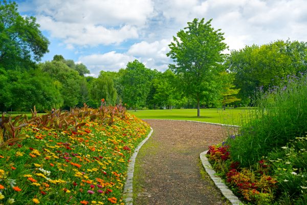 Park Landscaping in Burnsville