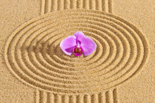 Sand Garden Landscaping in Burnsville