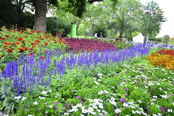 Perennials Planting in Burnsville