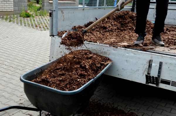 Cypress Mulch Delivery in Burnsville