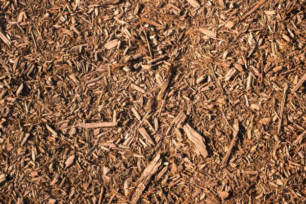 Wood Chips Removal in Burnsville