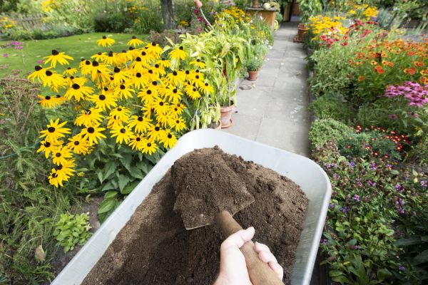 Topsoil Replacement in Burnsville