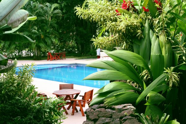 Pool Area Landscaping in Burnsville