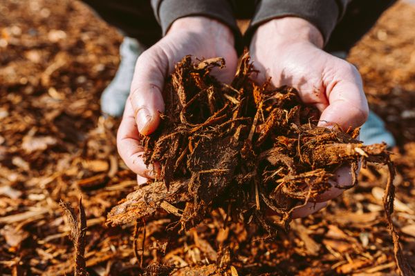 Bark Chips Delivery in Burnsville