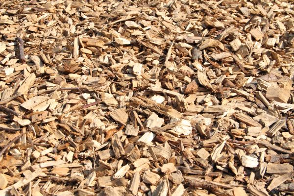 Wood Mulch Delivery in Burnsville