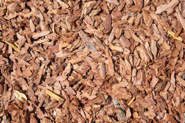 Pine Mulch Delivery in Burnsville