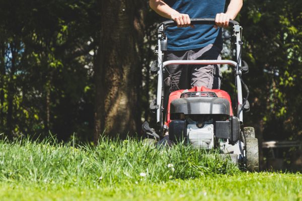 Garden Trimming Service in Burnsville