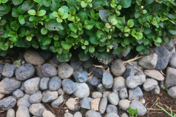 River Stone Installation in Burnsville