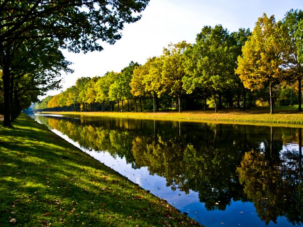 Bank Landscaping in Burnsville