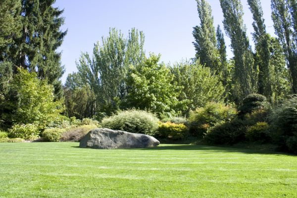 Yard Enlargement in Burnsville