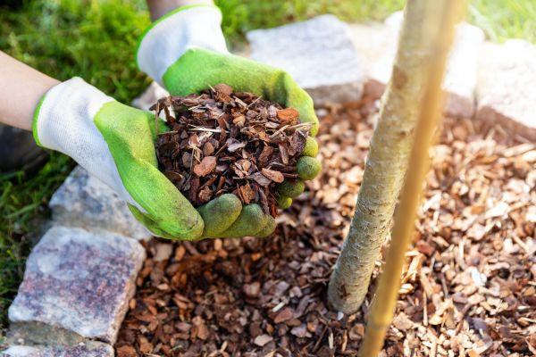 Tree Bark Delivery in Burnsville