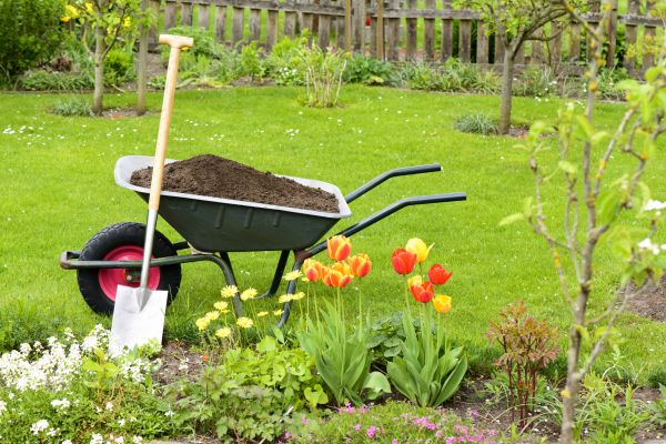 Spring Yard Renovation in Burnsville