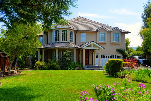 Large Yard Landscaping in Burnsville