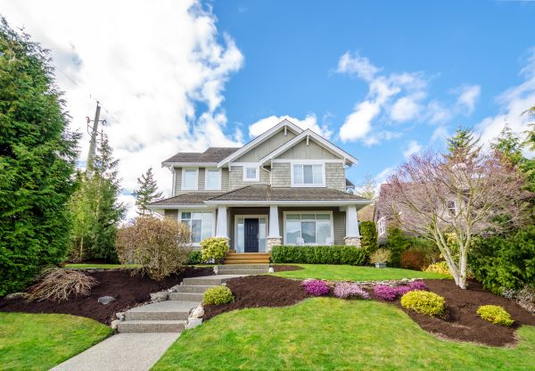 Landscaping Replacement in Burnsville
