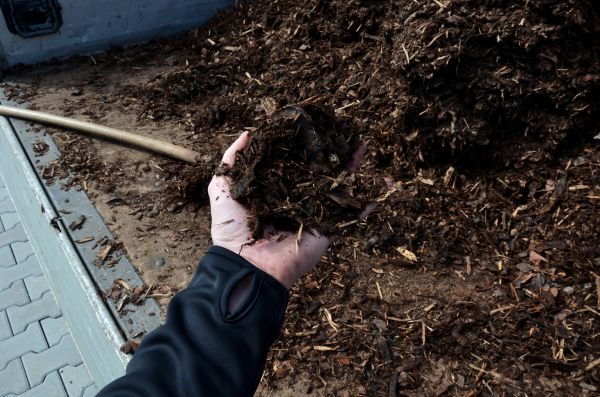 Condo Mulching in Burnsville